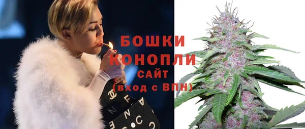 тгк Белокуриха