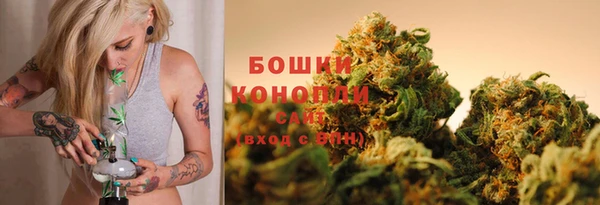 амф Грязовец