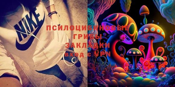 тгк Белокуриха