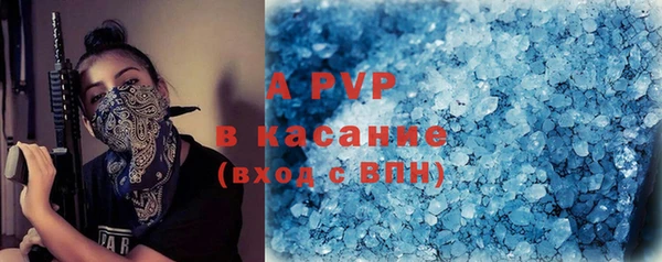 стаф Снежногорск